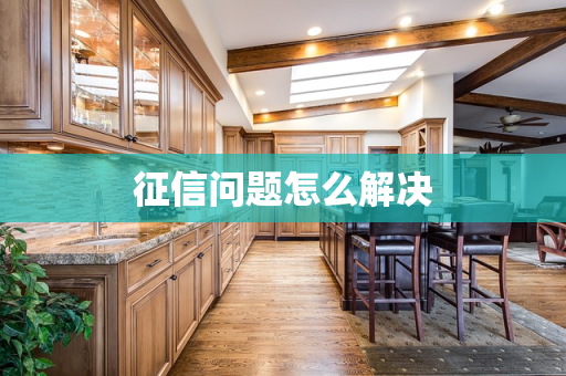 征信问题怎么解决