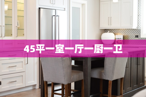 45平一室一厅一厨一卫