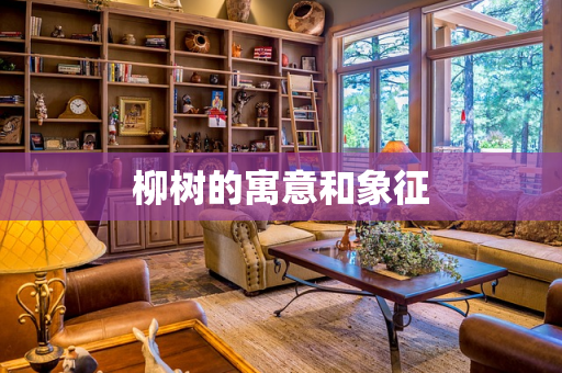 柳树的寓意和象征