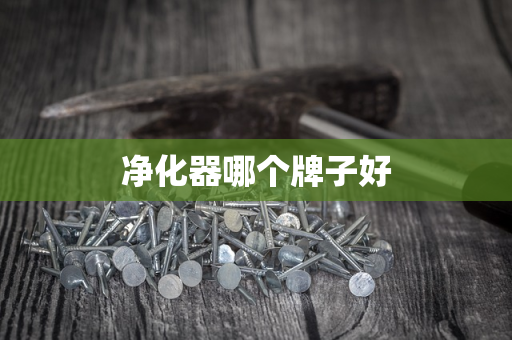 净化器哪个牌子好