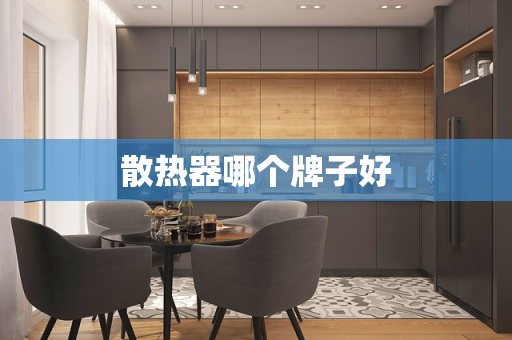 散热器哪个牌子好