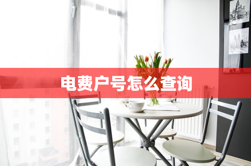 电费户号怎么查询