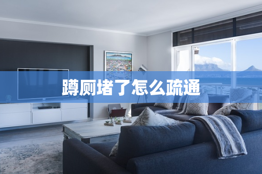 蹲厕堵了怎么疏通
