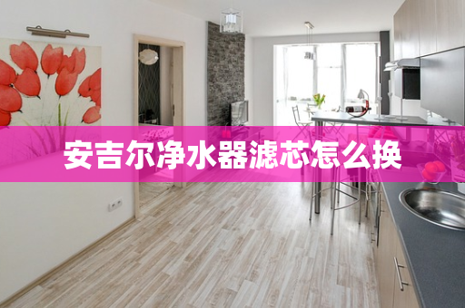 安吉尔净水器滤芯怎么换