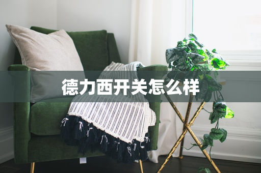 德力西开关怎么样