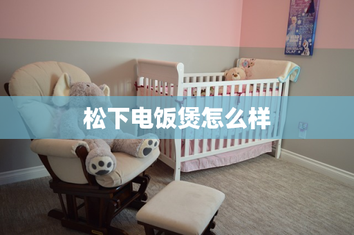 松下电饭煲怎么样