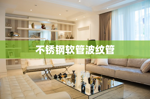 不锈钢软管波纹管