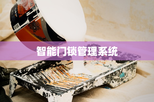 智能门锁管理系统