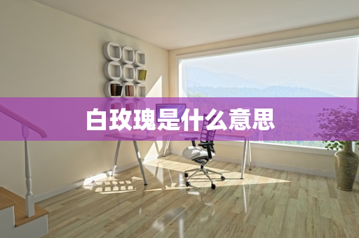白玫瑰是什么意思