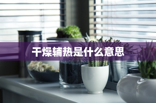 干燥辅热是什么意思