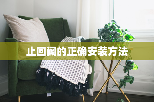 止回阀的正确安装方法