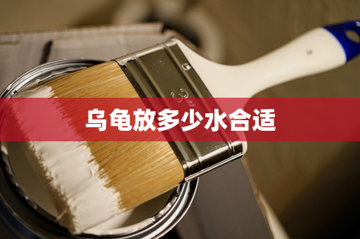 乌龟放多少水合适