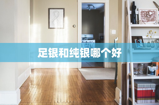 足银和纯银哪个好