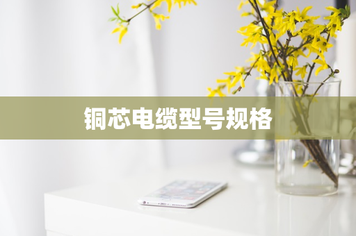 铜芯电缆型号规格
