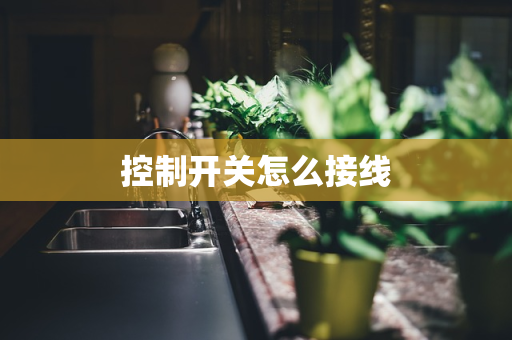 控制开关怎么接线