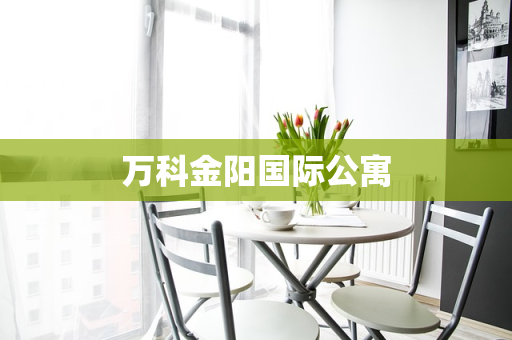 万科金阳国际公寓