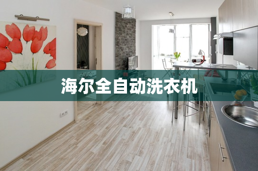 海尔全自动洗衣机