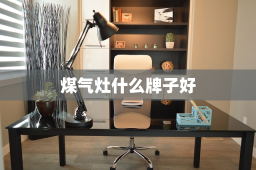 煤气灶什么牌子好