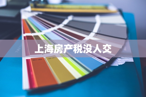 上海房产税没人交