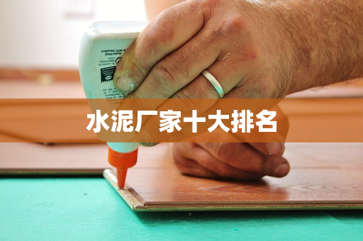 水泥厂家十大排名