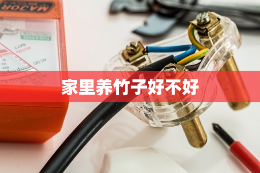 家里养竹子好不好