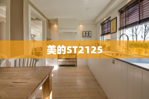 美的ST2125