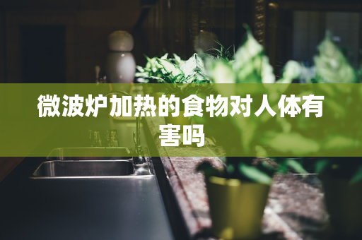 微波炉加热的食物对人体有害吗