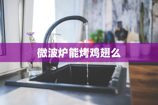 微波炉能烤鸡翅么