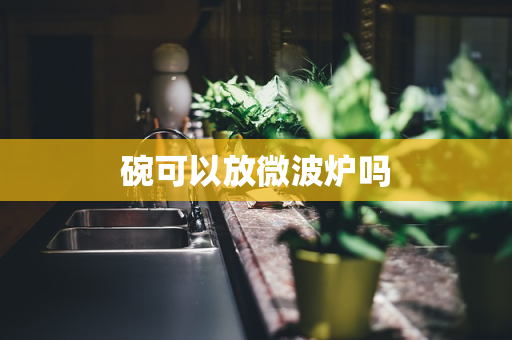 碗可以放微波炉吗