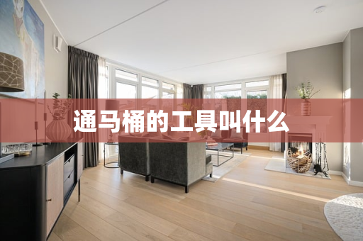 通马桶的工具叫什么