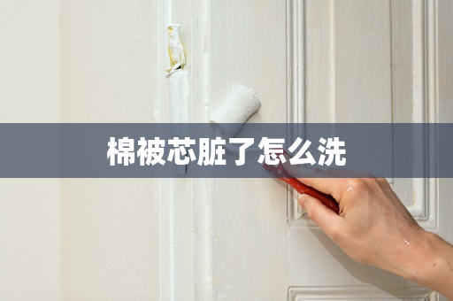 棉被芯脏了怎么洗