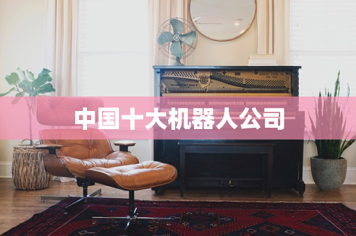 中国十大机器人公司
