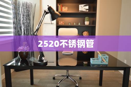 2520不锈钢管