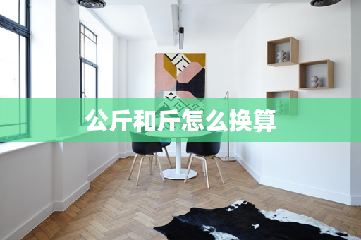 公斤和斤怎么换算