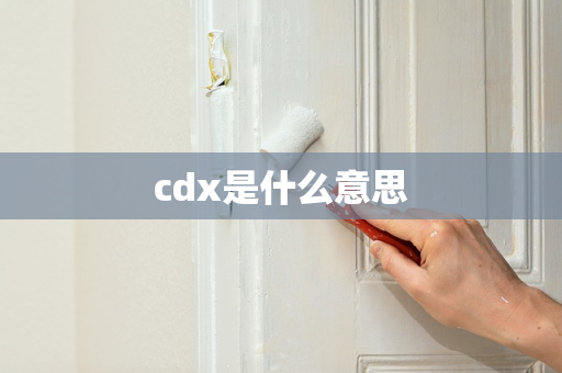 cdx是什么意思