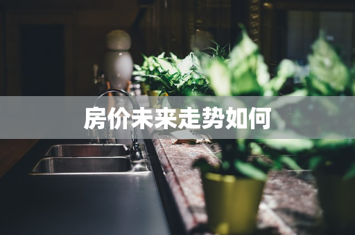 房价未来走势如何