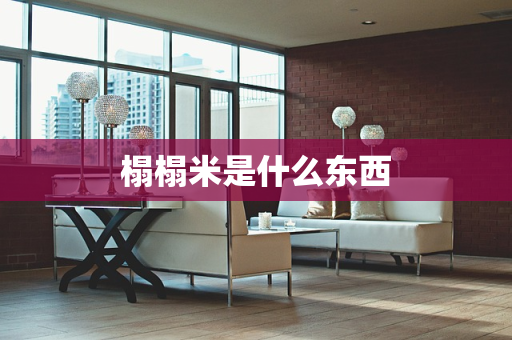榻榻米是什么东西