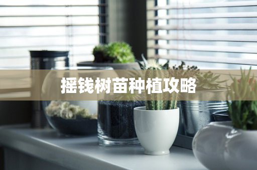 摇钱树苗种植攻略