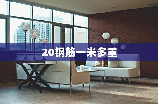 20钢筋一米多重