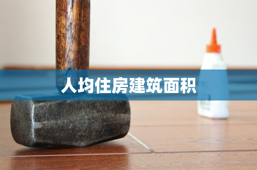 人均住房建筑面积