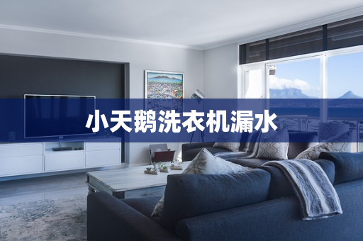 小天鹅洗衣机漏水