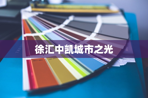 徐汇中凯城市之光
