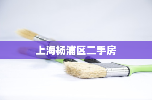 上海杨浦区二手房