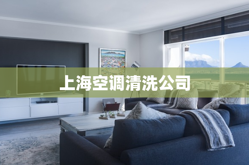 上海空调清洗公司
