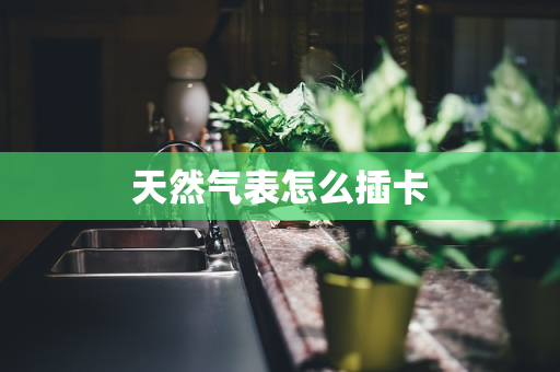 天然气表怎么插卡