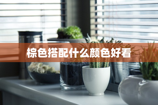 棕色搭配什么颜色好看