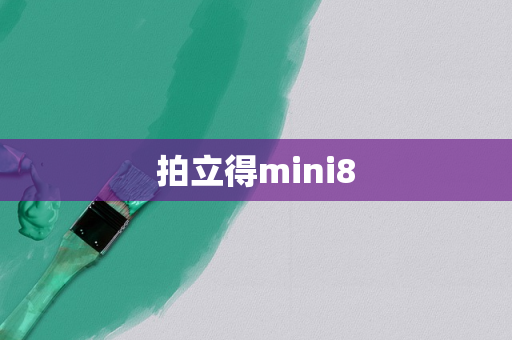拍立得mini8