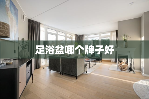 足浴盆哪个牌子好