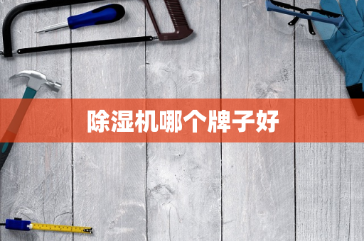 除湿机哪个牌子好