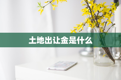 土地出让金是什么